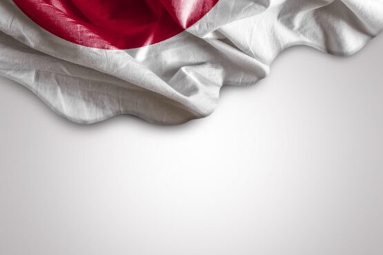 Japan Parties Submit Bill Criminalizing Flag Vandalism