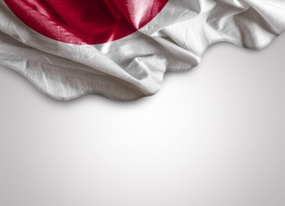 Japan Parties Submit Bill Criminalizing Flag Vandalism