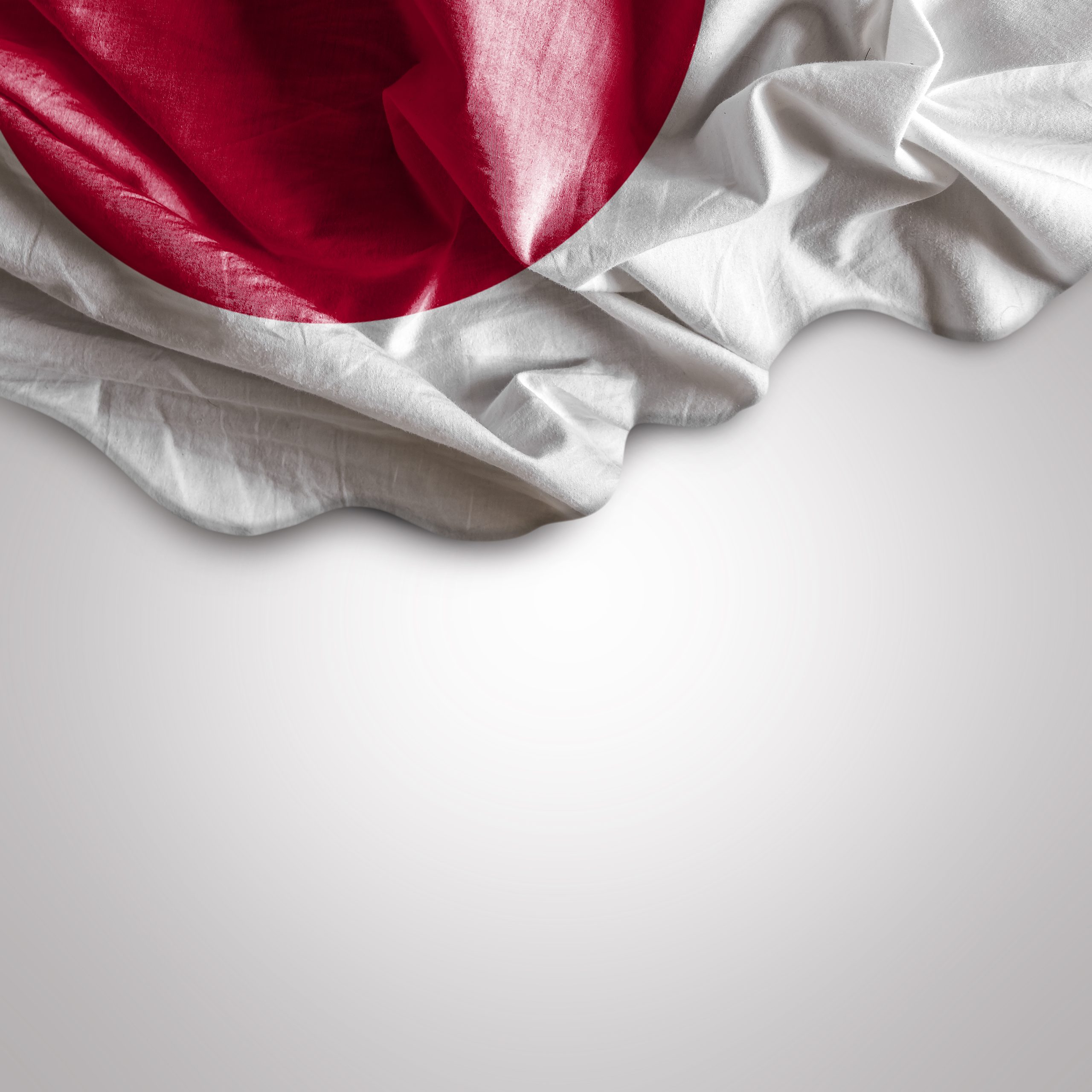 Japan Parties Submit Bill Criminalizing Flag Vandalism Displaying Flag Already Vandalized Not Crime