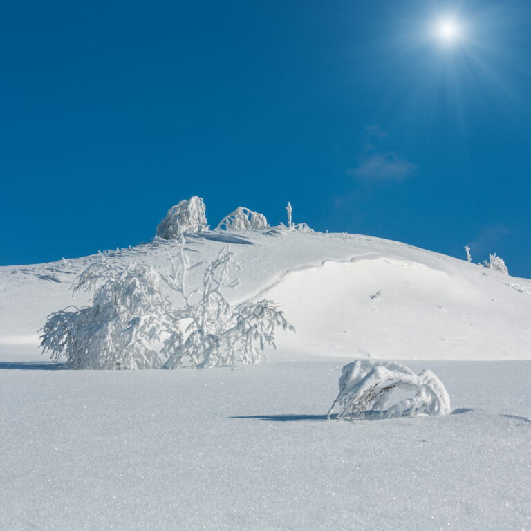 Professional Skills Seminars Launch in Hokkaido