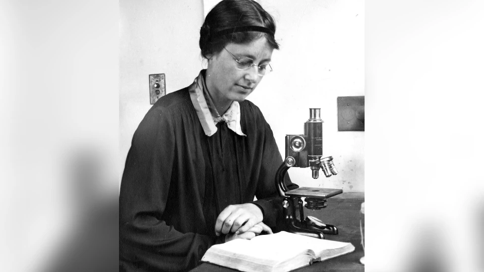 Enjoy sushi? You may have Welsh seaweed to thank for it