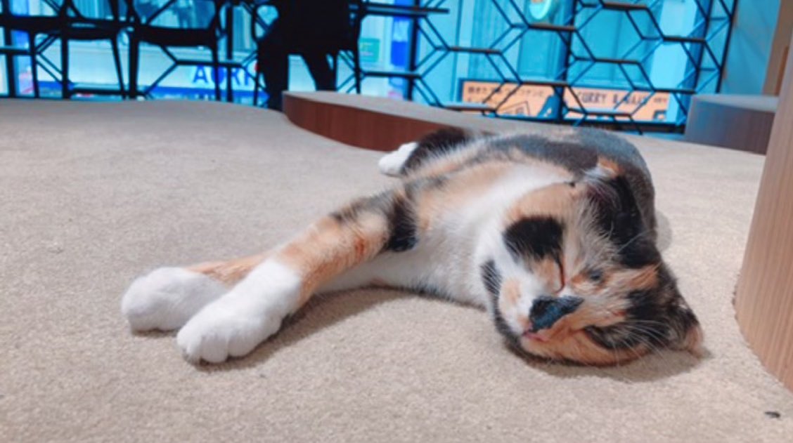 まおうてゃん👿💜Maou424