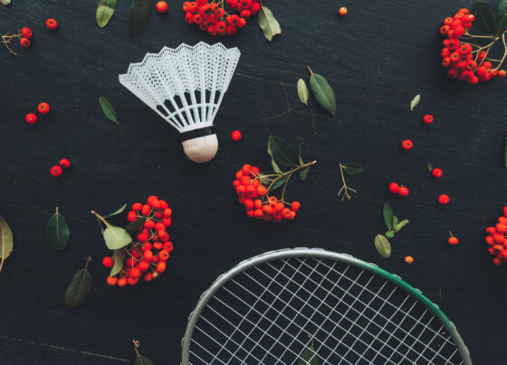 Commonwealth bronze medallist Murphy retires from squash