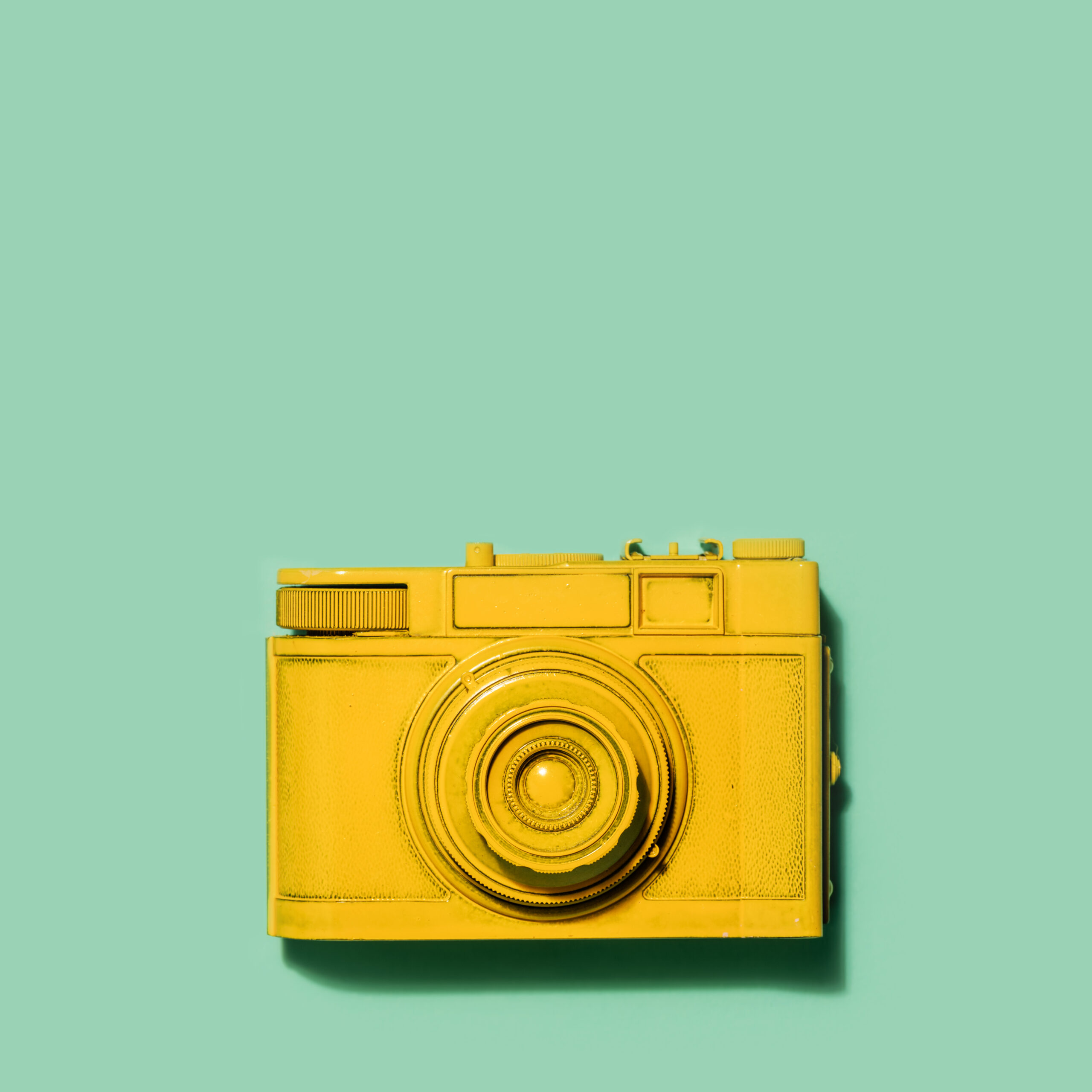 Digital cameras back in fashion after online revival