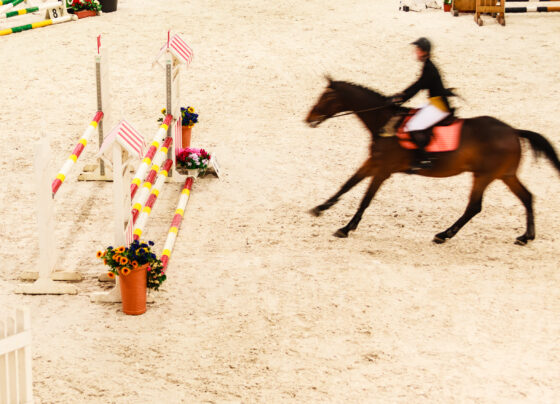 Future of historic common ridings 'in jeopardy'