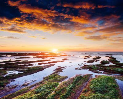 Reform's Welsh leader confirms manifesto costings U-turn