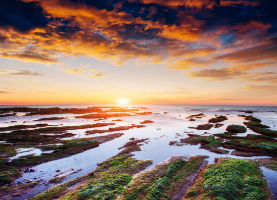 Reform's Welsh leader confirms manifesto costings U-turn