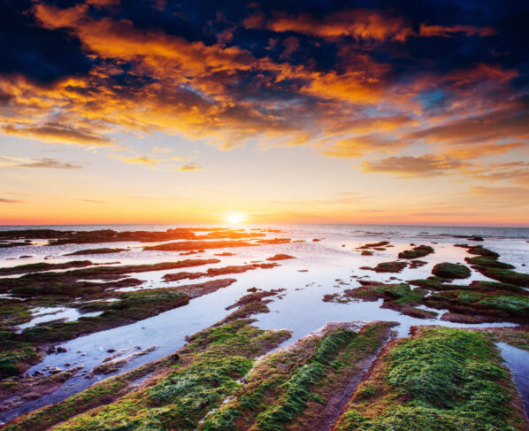 Reform's Welsh leader confirms manifesto costings U-turn