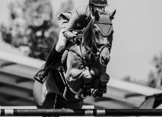 Soldier In Milan wins the Irish Grand National