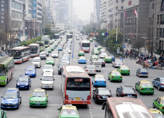 Travel training helping SEND students thrive