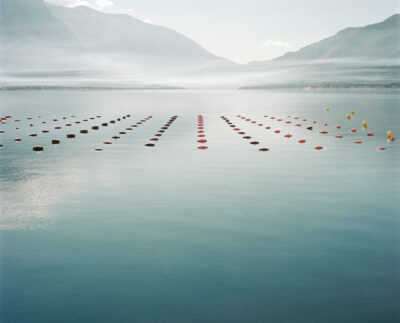 Water polo player's hopes for Olympic glory