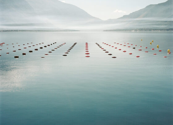 Water polo player's hopes for Olympic glory