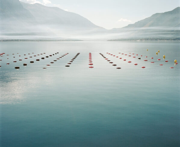 Water polo player's hopes for Olympic glory