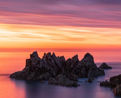 Who is Reform UK's Welsh leader Dan Thomas