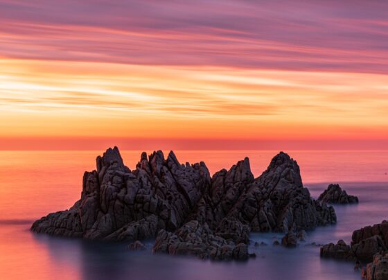 Who is Reform UK's Welsh leader Dan Thomas