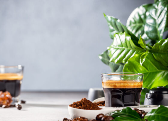 Why alcohol and coffee affect us more as we age