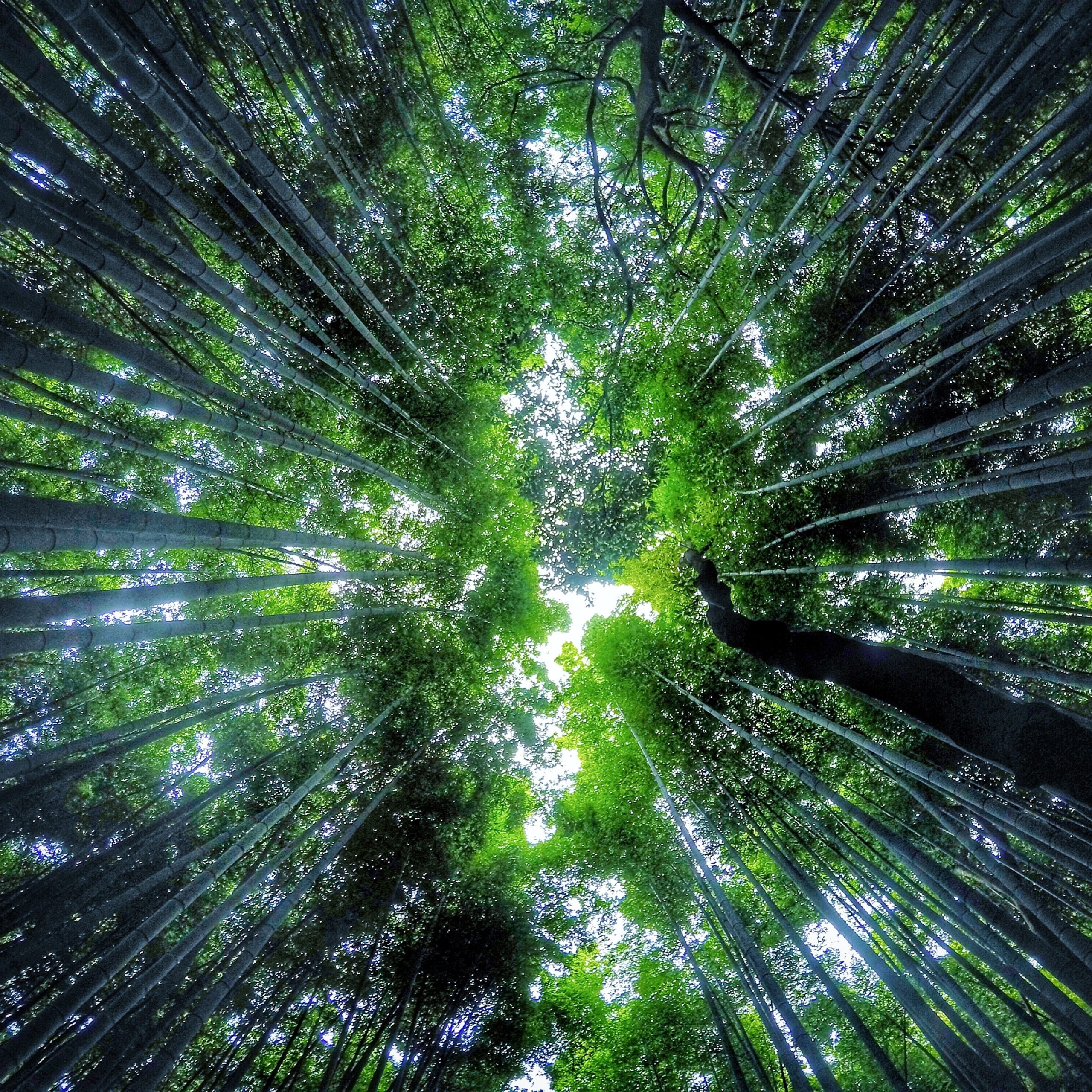 Kansai