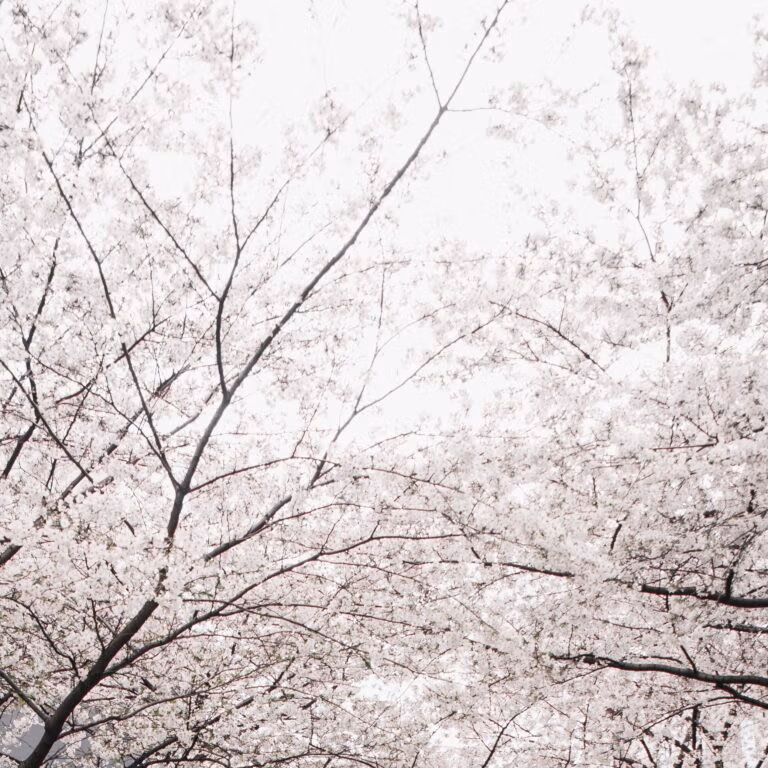 Air Quality Yamanashi Prefecture