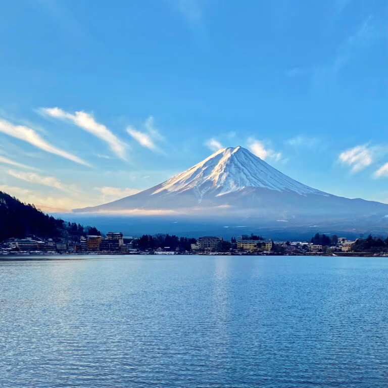 50 Ways To See Feel And Taste Tokyo