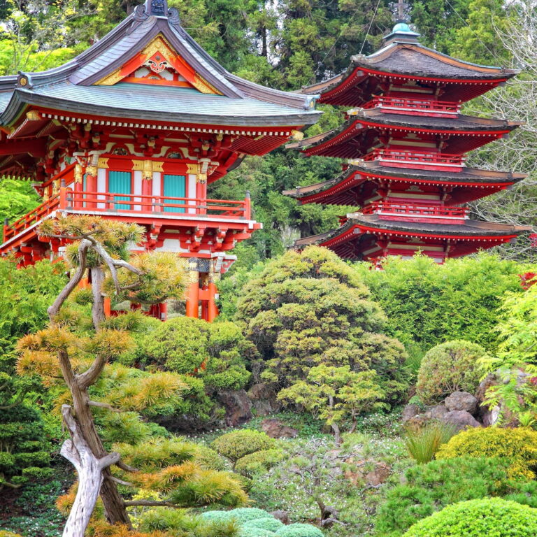 Country Guide and Travel Tips