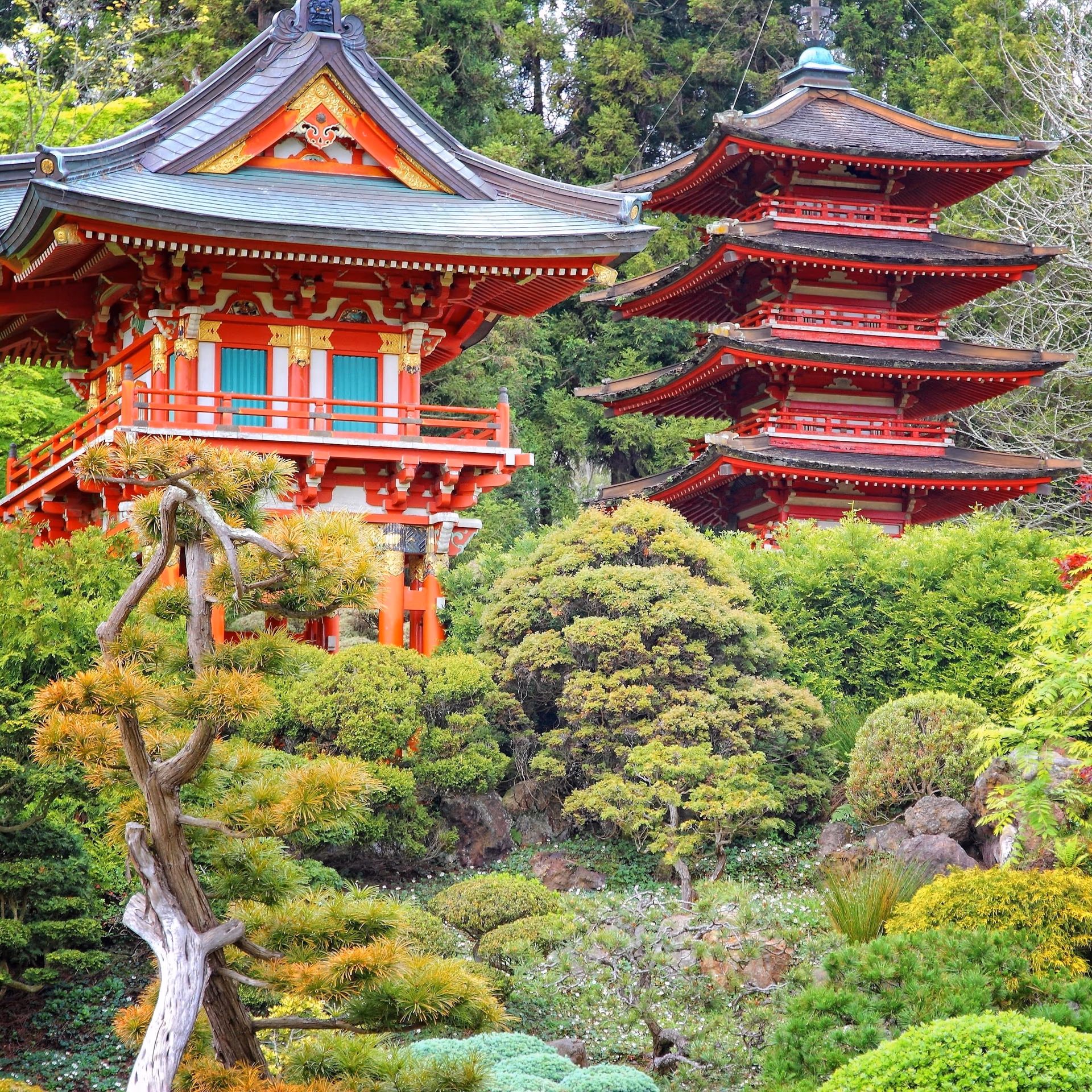 Country Guide and Travel Tips