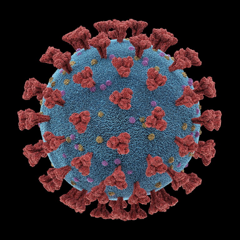 Japan reports 50107 new coronavirus cases