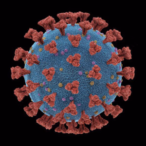 Coronavirus, group of viruses that cause diseases in mammals and birds. In humans, the virus causes respiratory infections. 3D illustration, conceptual image with clipping path included.