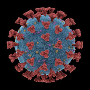 Coronavirus, group of viruses that cause diseases in mammals and birds. In humans, the virus causes respiratory infections. 3D illustration, conceptual image with clipping path included.